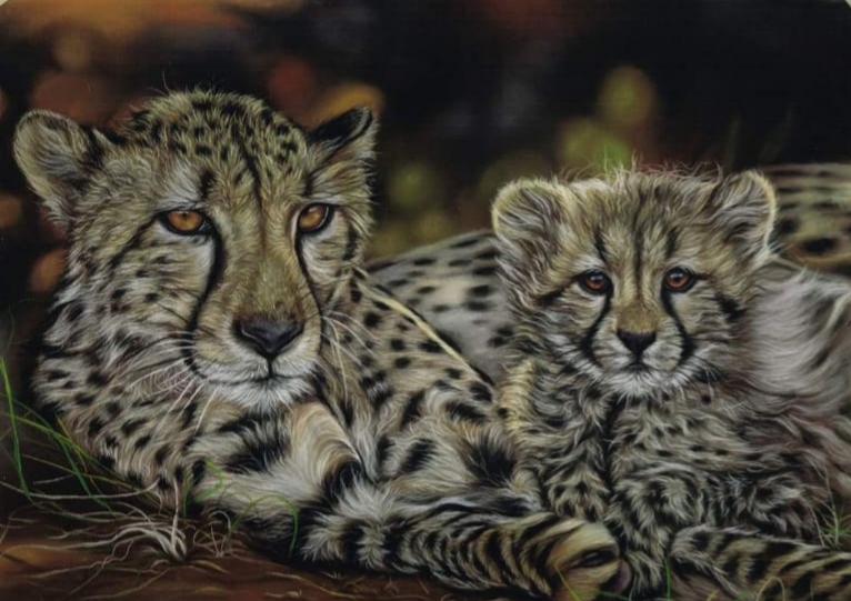 Cheetah mum & cub Framed, signed pastel painting by wildlife artist Susan Baxter... A stunning piece of art 20 x 16 inches £275