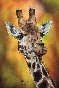 You’re having a Giraffe... Framed, signed pastel painting by wildlife artist Susan Baxter... A stunning piece of art 12 x 16 inches £200